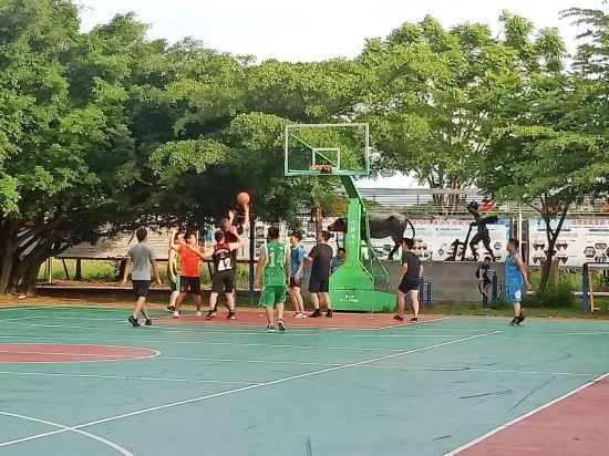 社区, img 社区, img