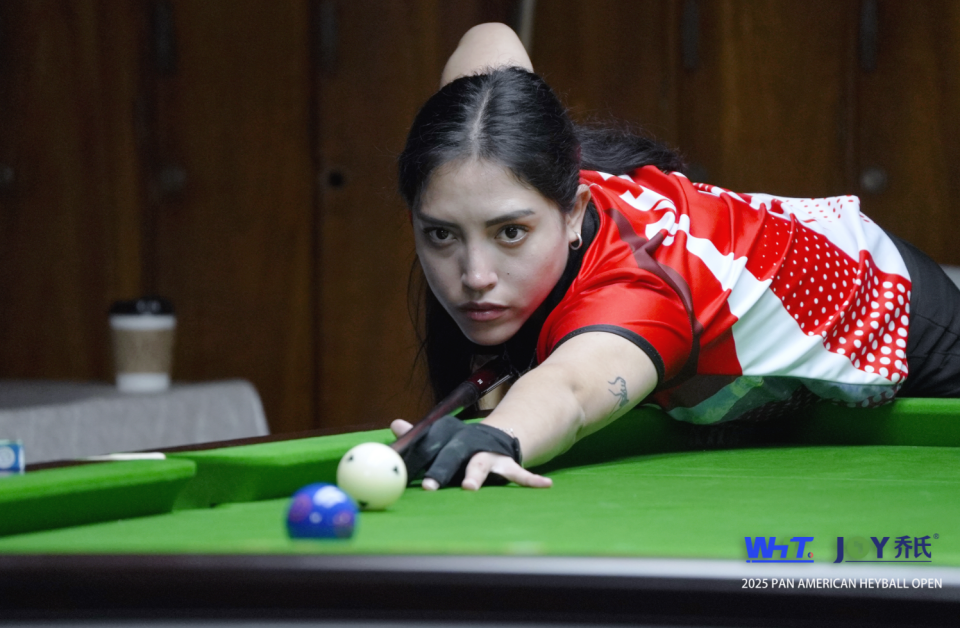 中式八球从, 全年龄段 中式八球从, 全年龄段